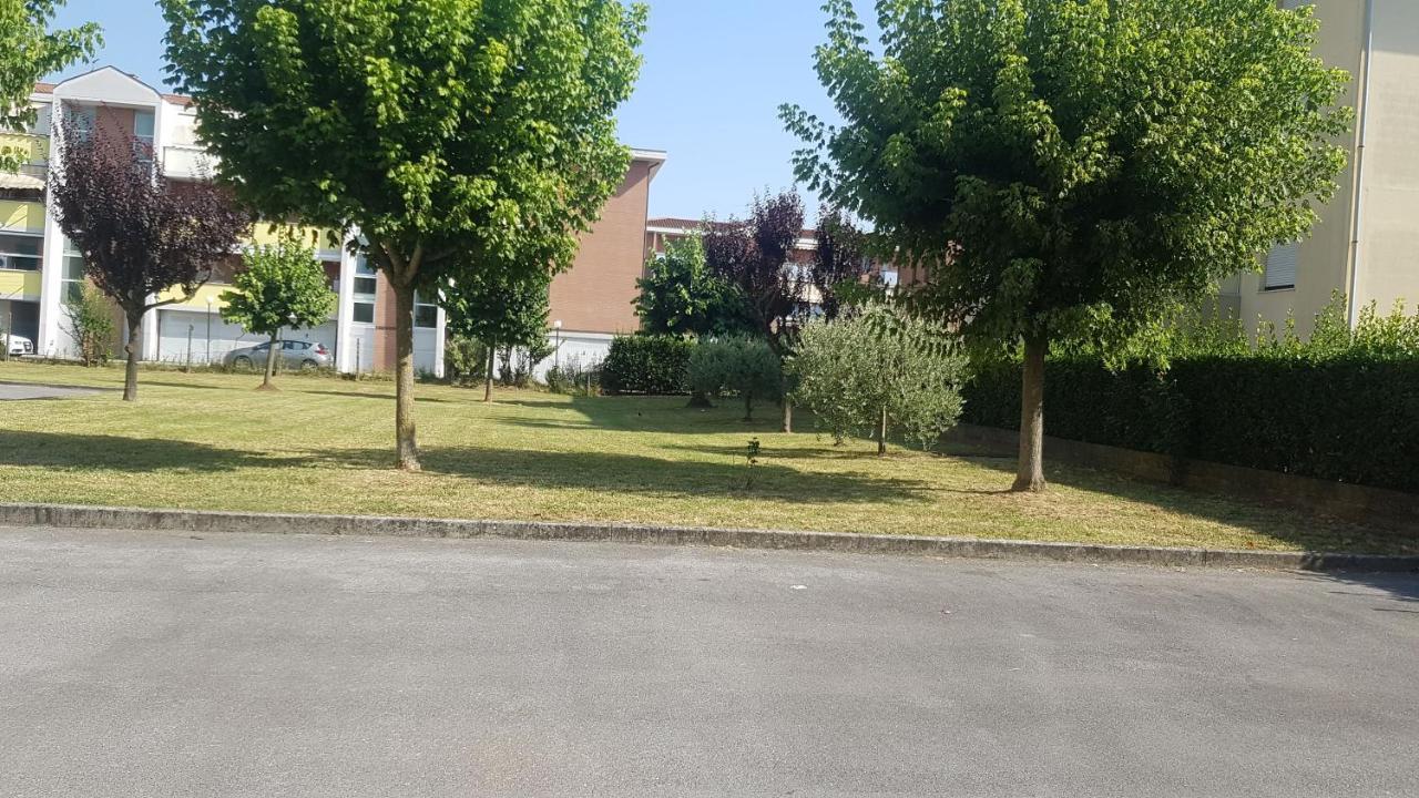 Апартаменти La Casa Di Dalila Санта-Кроче-сулл'Арно Екстер'єр фото